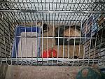     
: 20140512_183751.jpg
: 8
:	202.3 
ID:	8149652