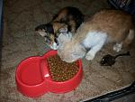     
: 20140512_183149.jpg
: 12
:	144.6 
ID:	8149670