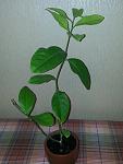     
: 20140513_224755.jpg
: 44
:	107.0 
ID:	8151293