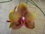     
: DSC05854.jpg
: 29
:	81.7 
ID:	8151376
