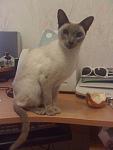     
:  16.10.09 011.jpg
: 29
:	75.2 
ID:	815334