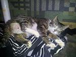     
: 0nd-gdOo1WQ.jpg
: 7
:	287.4 
ID:	8155251