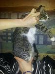     
: V98YiCOPk_U.jpg
: 6
:	189.0 
ID:	8155253
