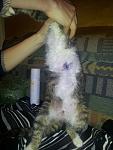     
: 1FLU0j_8kEI.jpg
: 9
:	165.5 
ID:	8155255