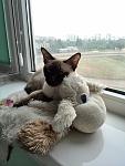     
: IMG_20140514_104544.jpg
: 9
:	91.8 
ID:	8157277