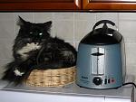     
: IMG_1424.JPG
: 33
:	100.5 
ID:	815885