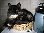     
: IMG_1430.JPG
: 35
:	112.0 
ID:	815886