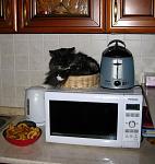     
: IMG_1435.JPG
: 31
:	134.2 
ID:	815887