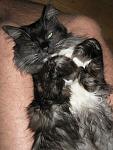     
: IMG_1226.JPG
: 32
:	137.7 
ID:	815890