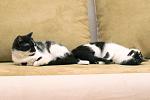     
: DSC_0409.jpg
: 4
:	52.1 
ID:	8160797