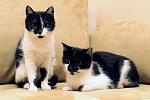     
: DSC_0379.jpg
: 5
:	54.9 
ID:	8160799