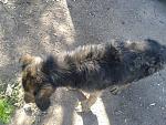     
: 2014-05-07 16.41.43.jpg
: 43
:	259.5 
ID:	8164487