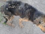     
: 2014-05-07 16.49.08.jpg
: 31
:	212.5 
ID:	8164489