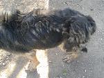     
: 2014-05-07 16.41.48.jpg
: 34
:	217.3 
ID:	8164490