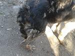     
: 2014-05-07 16.42.03.jpg
: 33
:	222.7 
ID:	8164493