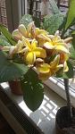     
: WP_20140516_014.jpg
: 4
:	83.1 
ID:	8166785