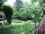     
: DSC00402.jpg
: 20
:	219.7 
ID:	8167607