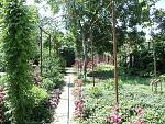     
: DSC00401.jpg
: 21
:	233.6 
ID:	8167608