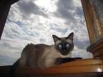    
: IMG_4250.jpg
: 32
:	96.7 
ID:	8168481