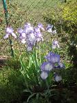     
: Фото0392.jpg
: 5
:	174.1 
ID:	8169953