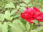    
: IMG_0486.jpg
: 6
:	165.8 
ID:	8170896