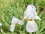     
: IMG_0483.jpg
: 5
:	231.5 
ID:	8170898