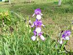     
: IMG_0482.jpg
: 6
:	169.8 
ID:	8170902