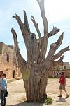     
: IMG_1441.JPG
: 8
:	85.9 
ID:	8171893