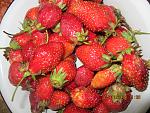     
: IMG_3058.jpg
: 13
:	195.8 
ID:	8172666