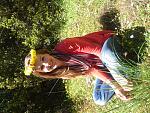     
: DSC_3336.jpg
: 29
:	307.0 
ID:	8173669