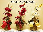     
: XPOT-10737GG.JPG
: 4
:	99.2 
ID:	8177196
