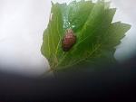     
: P_20140519_145421.jpg
: 106
:	114.5 
ID:	8177255
