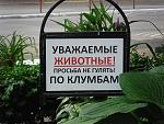    
: SAM_0711.jpg
: 31
:	136.9 
ID:	8177513