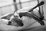     
: 848__620x__mg_3414.jpg
: 41
:	39.1 
ID:	817797