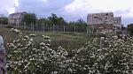     
: 2014-05-02-0556.jpg
: 37
:	191.0 
ID:	8184564