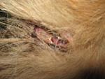     
: IMG_8893.jpg
: 29
:	84.9 
ID:	8184983