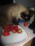    
: IMG_4271 - копия.jpg
: 10
:	67.3 
ID:	8192430
