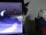     
: IMG_4274.jpg
: 13
:	86.2 
ID:	8192431