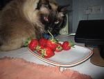     
: IMG_4267.jpg
: 11
:	119.1 
ID:	8192433