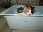     
: IMG_0607.jpg
: 19
:	79.2 
ID:	8192691