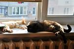     
: DSC_0484.jpg
: 27
:	122.1 
ID:	8193034