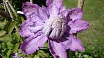     
: DSC05014.JPG
: 5
:	211.3 
ID:	8194568