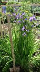     
: DSC04993.JPG
: 11
:	257.7 
ID:	8194570