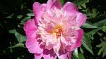     
: DSC05010.JPG
: 10
:	198.7 
ID:	8194602