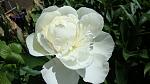     
: DSC05009.JPG
: 5
:	184.1 
ID:	8194603
