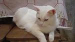     
: DSC09948.jpg
: 5
:	88.4 
ID:	8194683