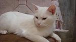    
: DSC09952.jpg
: 2
:	83.2 
ID:	8194684