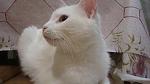     
: DSC09943.jpg
: 4
:	81.1 
ID:	8194685