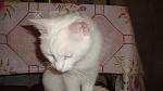     
: DSC09934.jpg
: 4
:	99.3 
ID:	8194686