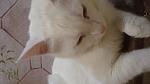     
: DSC09950.jpg
: 5
:	61.8 
ID:	8194688